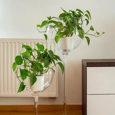 Apartman Bright 2-bed Free Parking & Wifi - Walk To Old Town Ljubljana