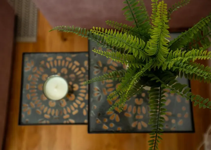 Bright 2-Bed Apartment Free Wifi And Walk To Old Town アパート リュブリャナ